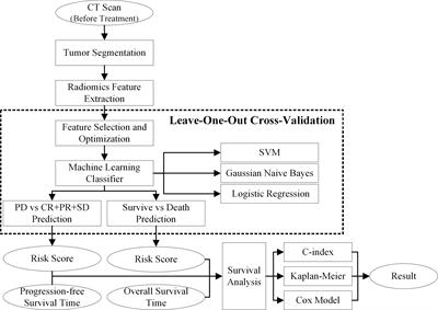 A CT-Based Radiomics Approach to Predict Nivolumab Response in Advanced Non-Small-Cell Lung Cancer